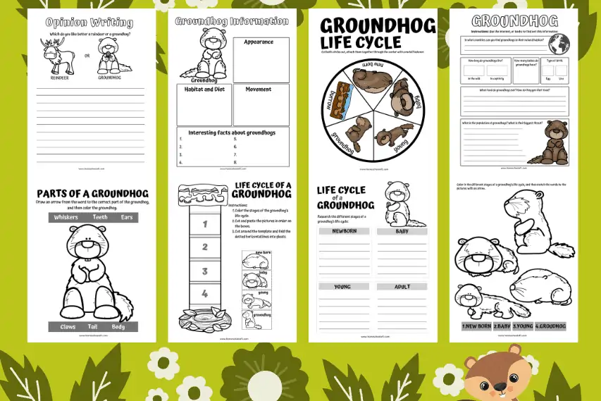 Life Cycle of a Groundhog Worksheets (8 free printables)