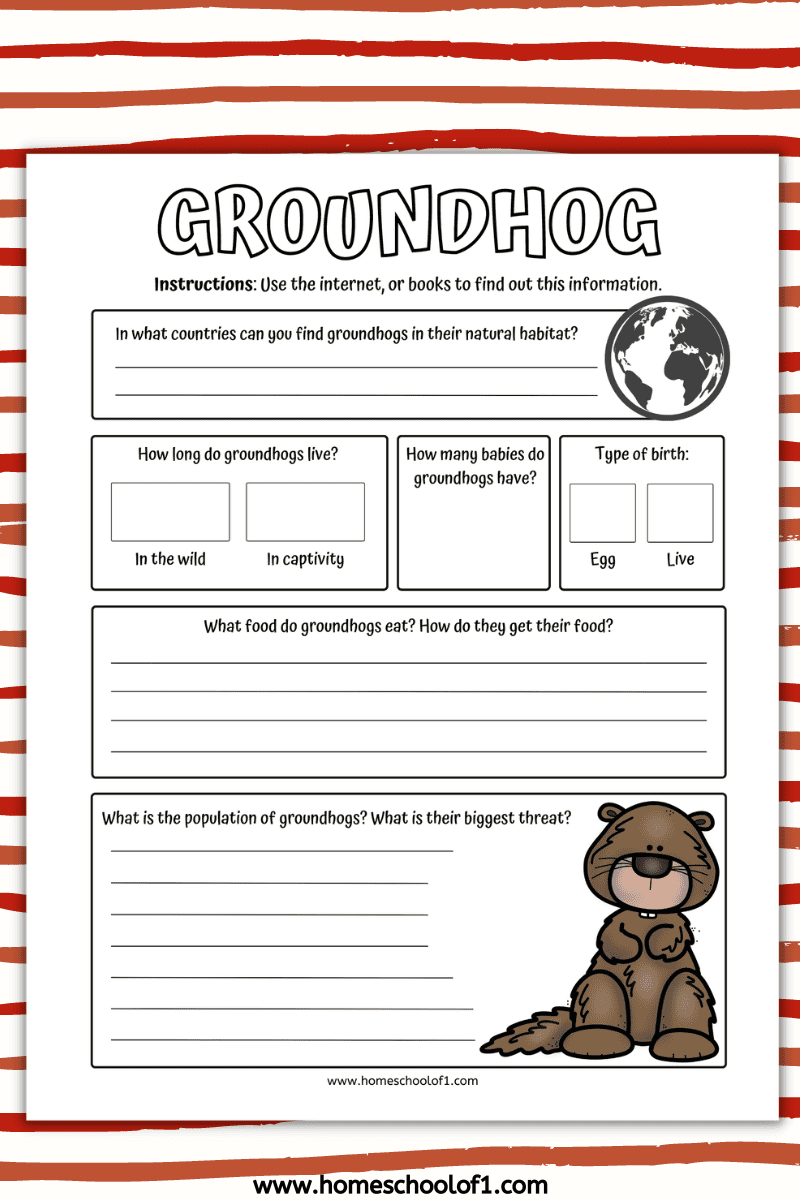 groundhog life cycle