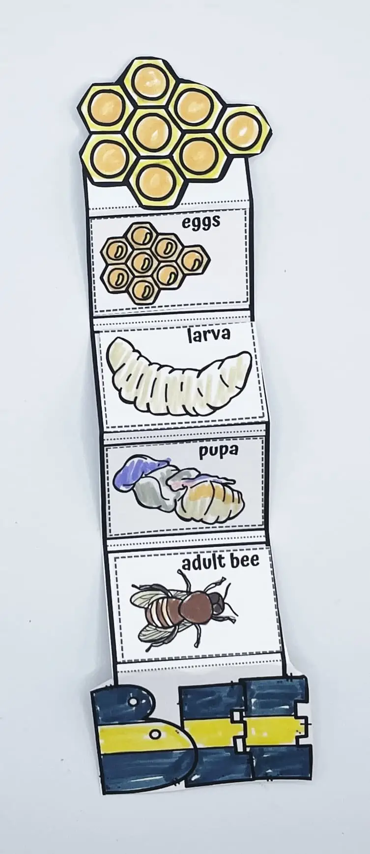 honey bee craft