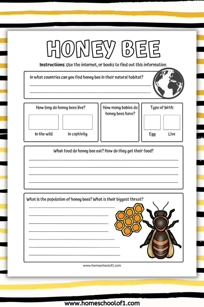 Life Cycle of a Bee Worksheet (8 free printables)