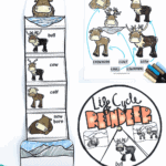 Free printable reindeer life cycle worksheet with cut-and-paste activity and science labeling task.