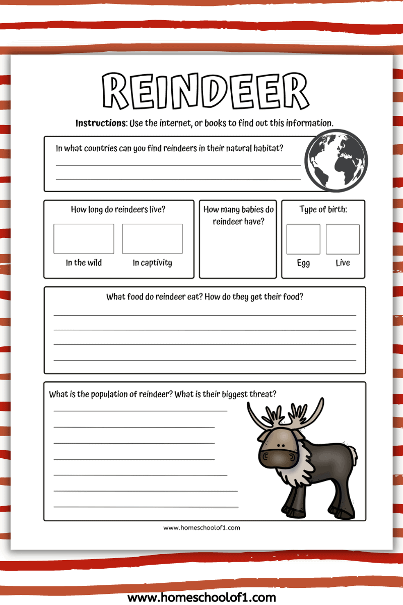 reindeer facts