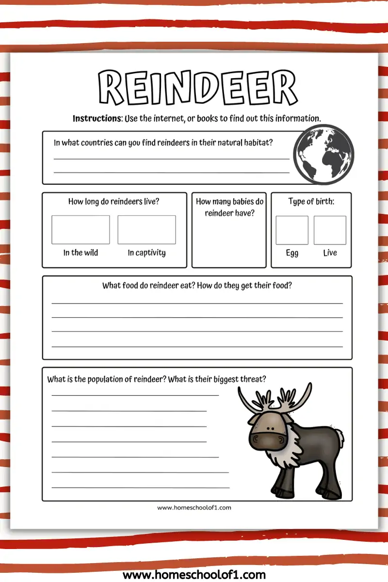 reindeer facts