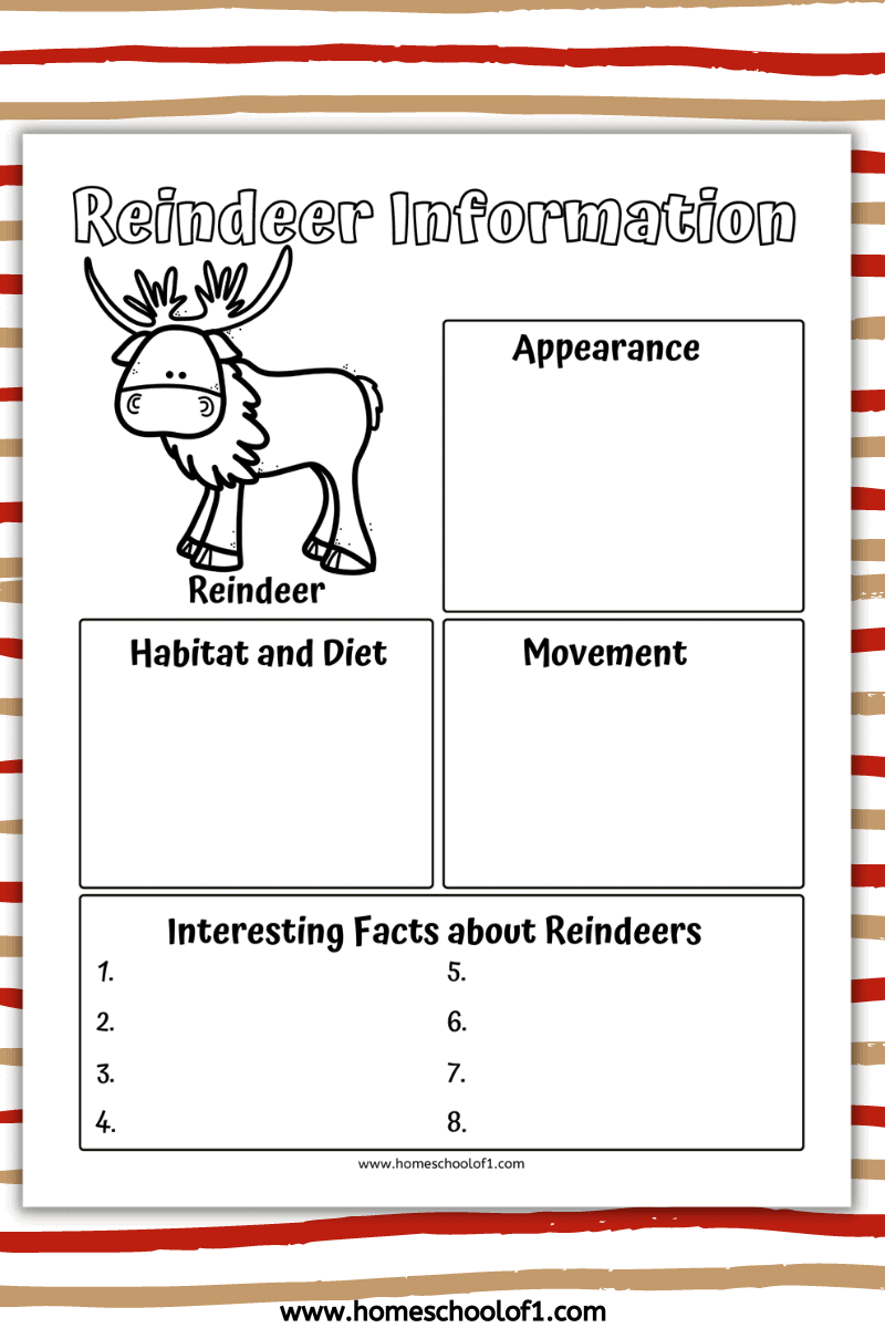 reindeer information