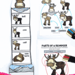 Free printable reindeer life cycle activity pages with sequencing, spinner, and parts of a reindeer.