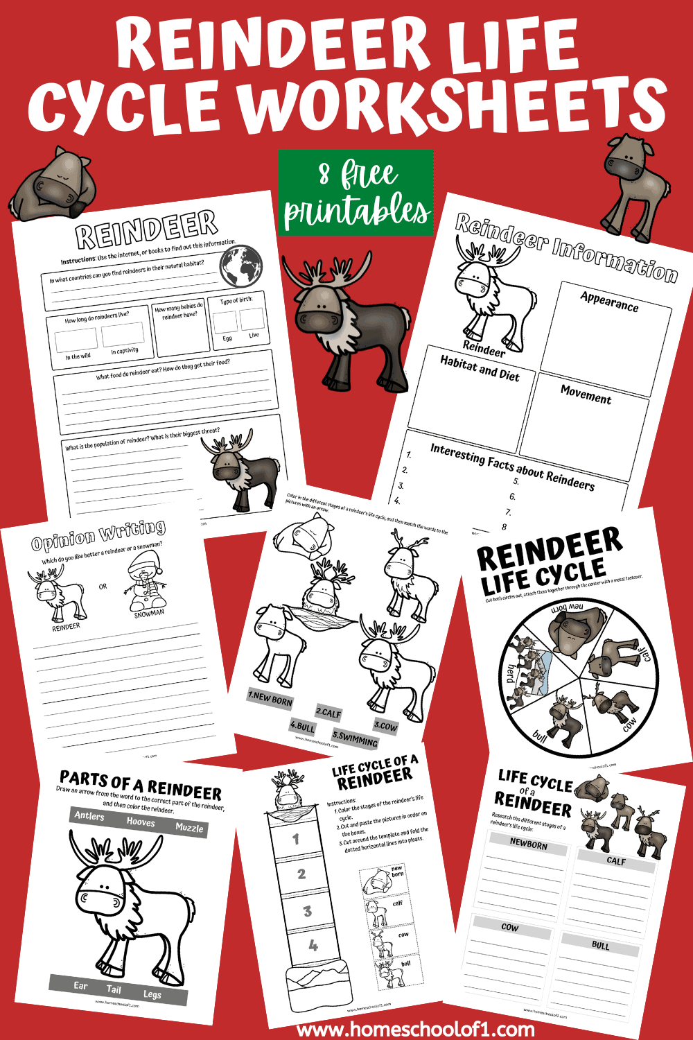 reindeer life cycles
