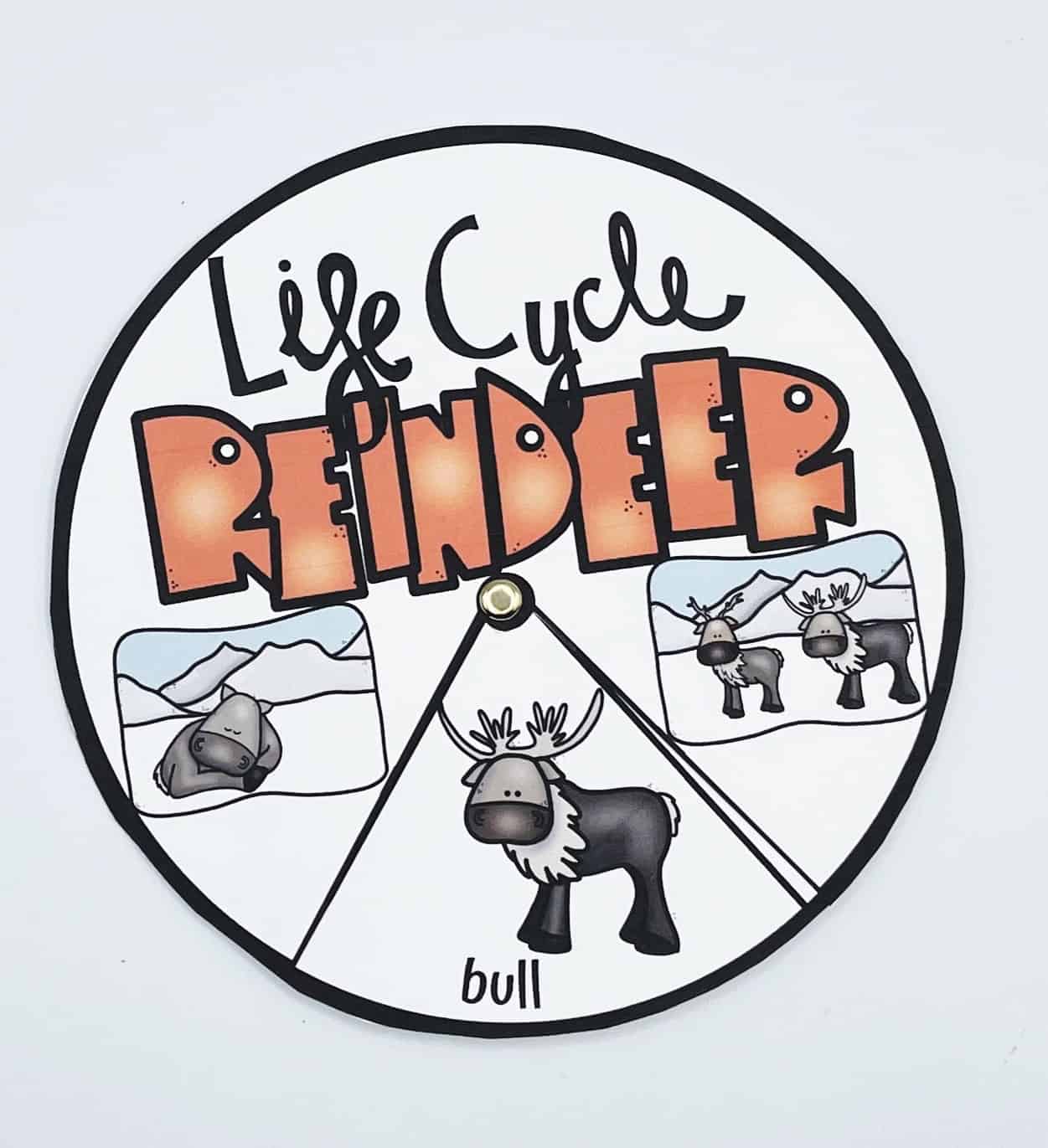 reindeer spin