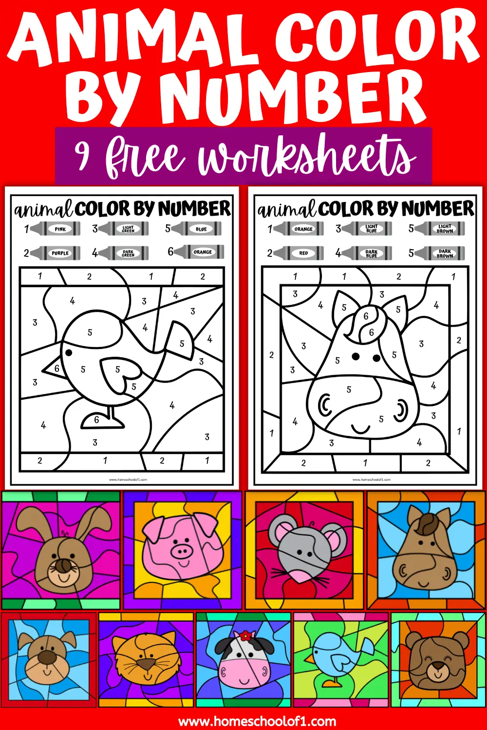 COLOR BY NUMBER ANIMALS
