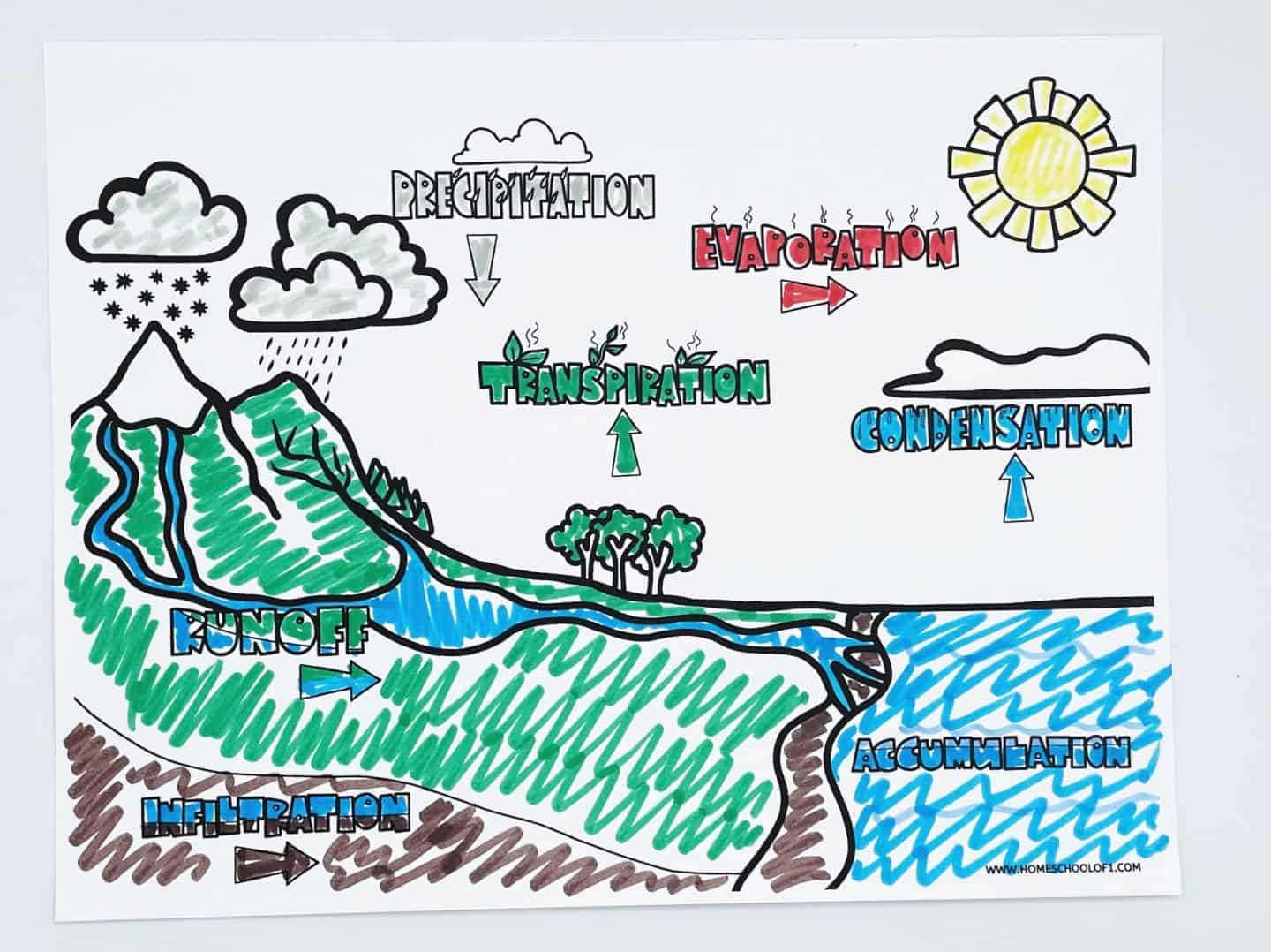Water cycle coloring page featuring a mountain and the sea with the words precipitation, evaporation, transpiration, condensation, runoff, infiltration, and accumulation.