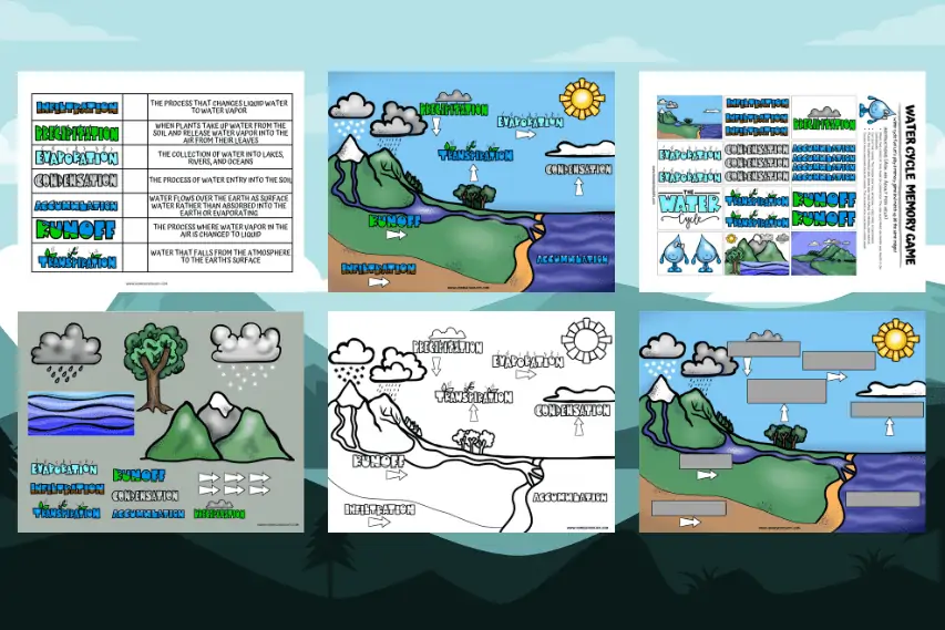 Water Cycle Worksheets (7 free printables)