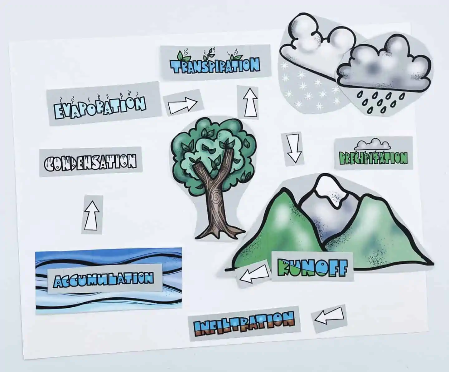 WATER CYCLYING LABELING