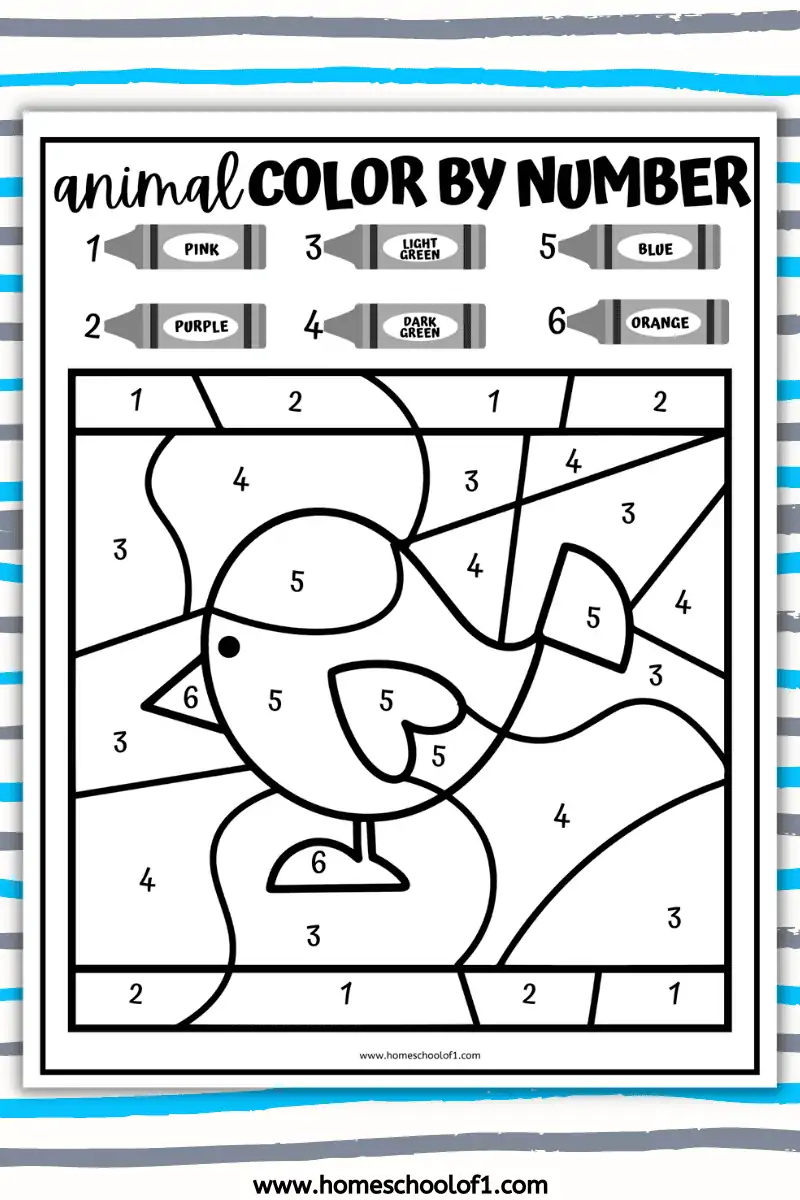 bird color by number