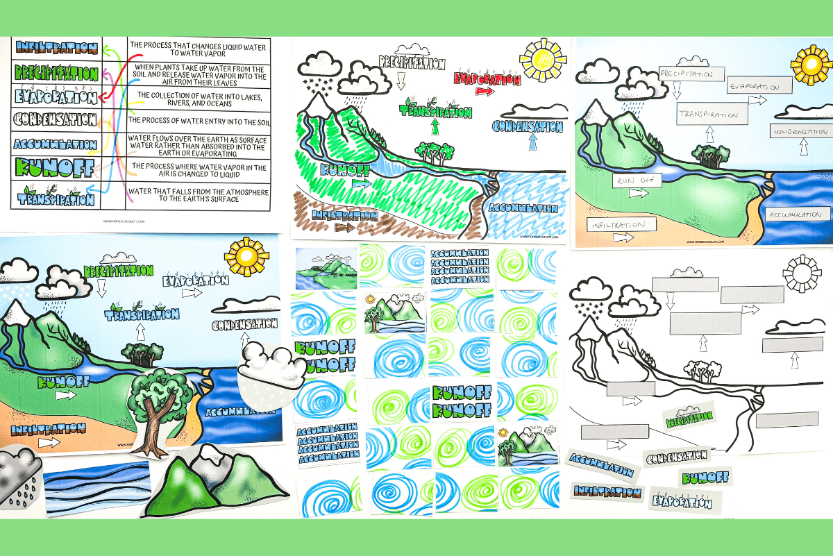 A collection of free water cycle worksheets, including coloring pages, matching games, cut and paste activites all around the water cycle.