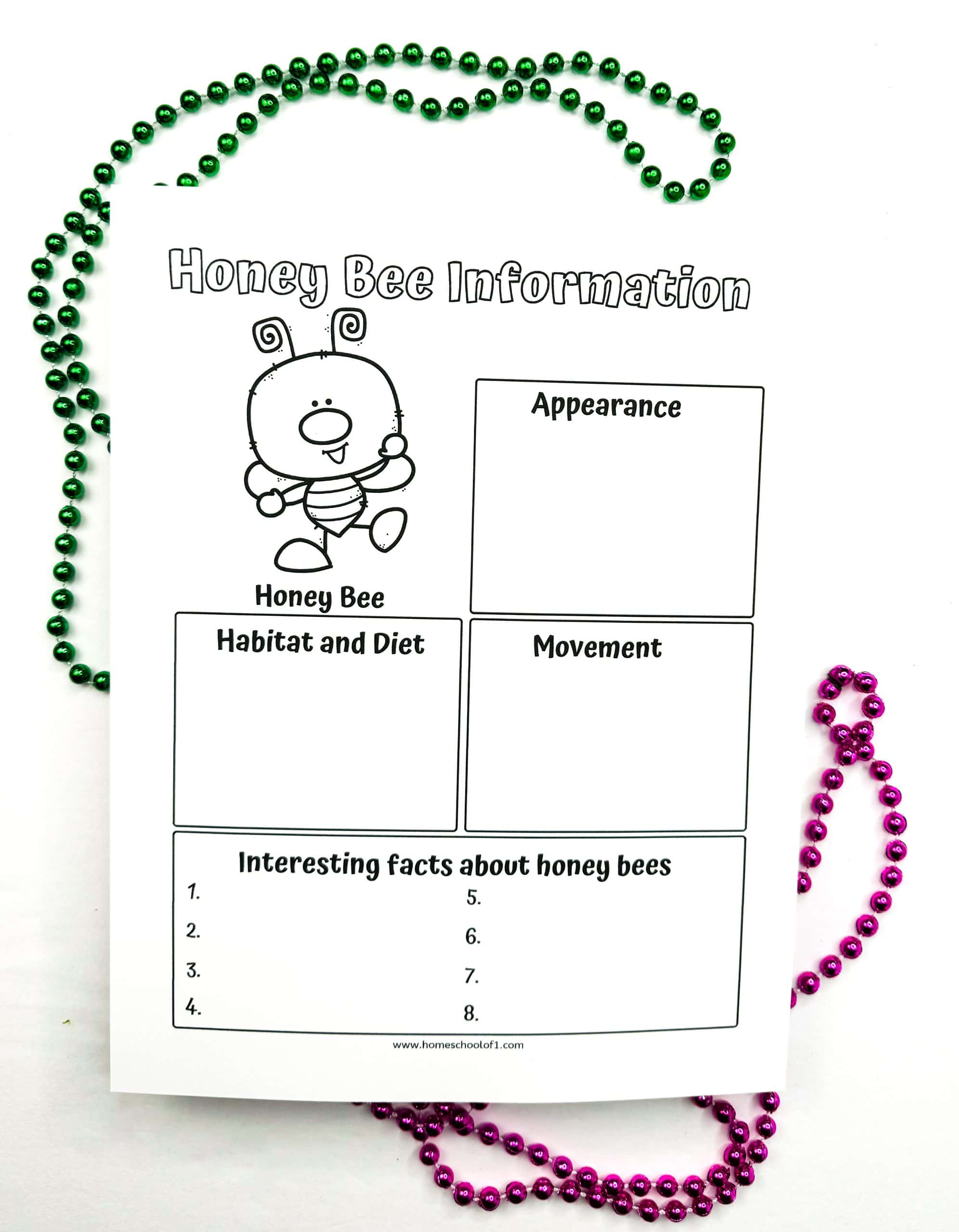 A "Honey Bee Information" worksheet with sections to fill in about the honey bee's appearance, habitat and diet, movement, and interesting facts. The page also includes a cute illustration of a bee, with empty spaces for the student to complete the information. The worksheet is surrounded by colorful beads.