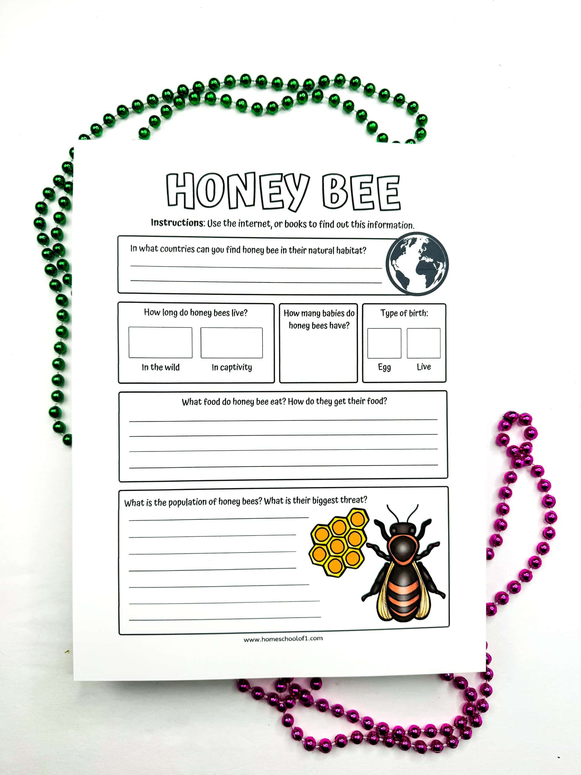 Honey bee worksheet with sections for writing about its natural habitat, lifespan, baby count, food, and threats, featuring an illustration of a honey bee and honeycomb.