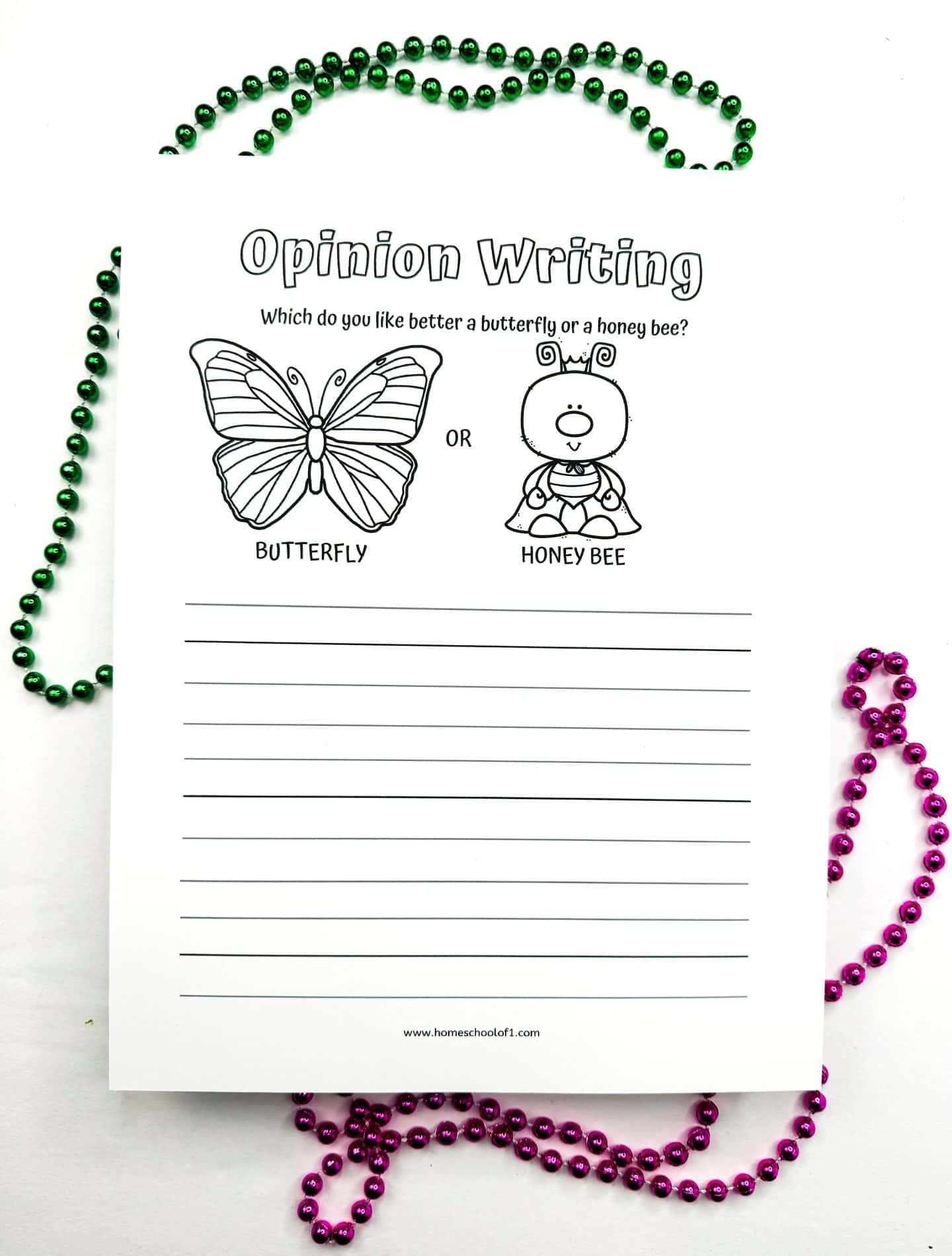 Free Life Cycle of a Bee Worksheet for Kids