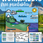 water cycle free worksheets