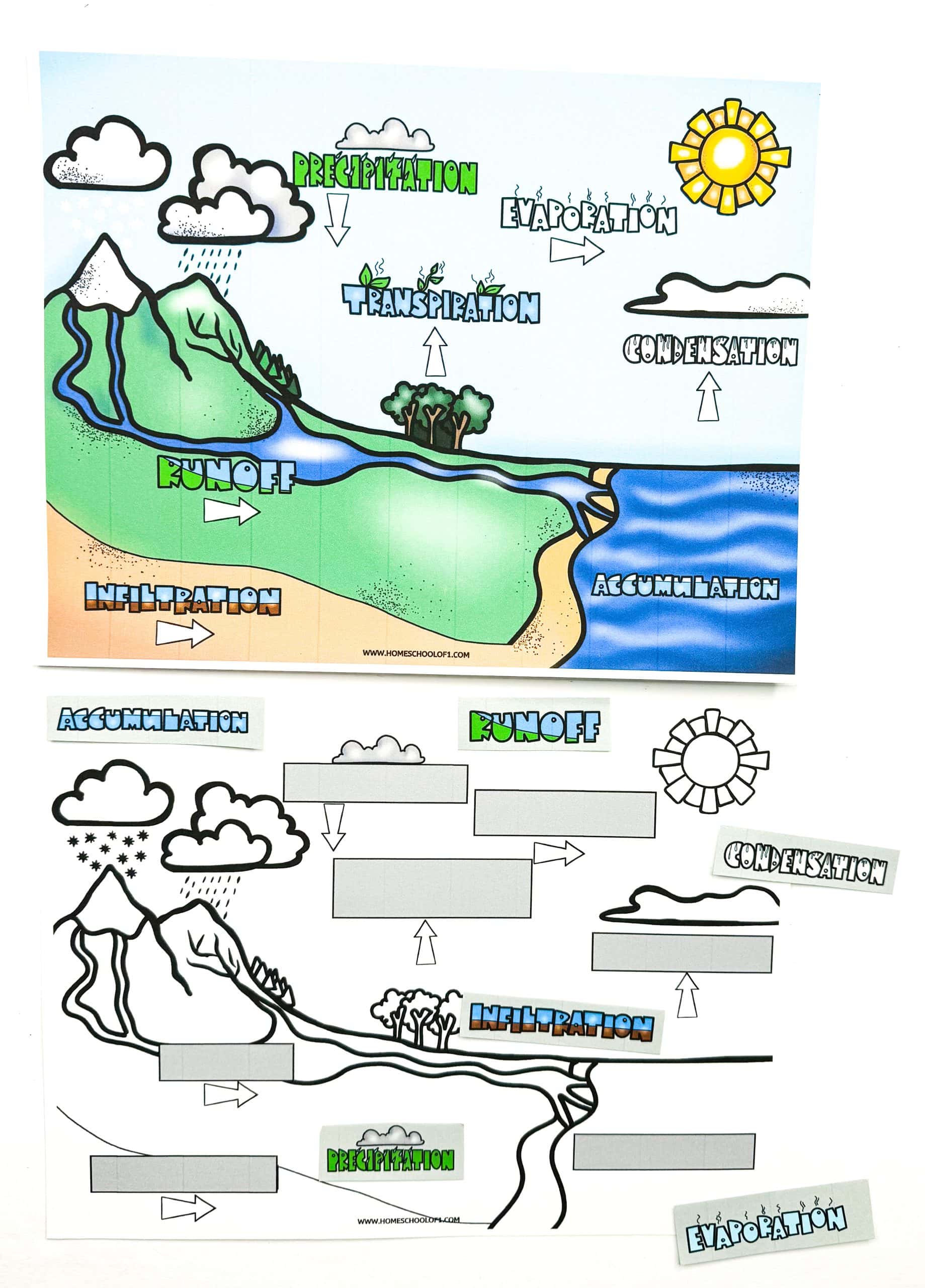 A cut and paste water life cycle worksheet
