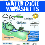 water cycle worksheets free printable