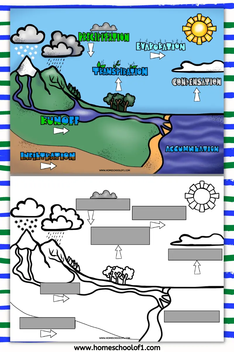 colored poster of the water cycle + black and white image