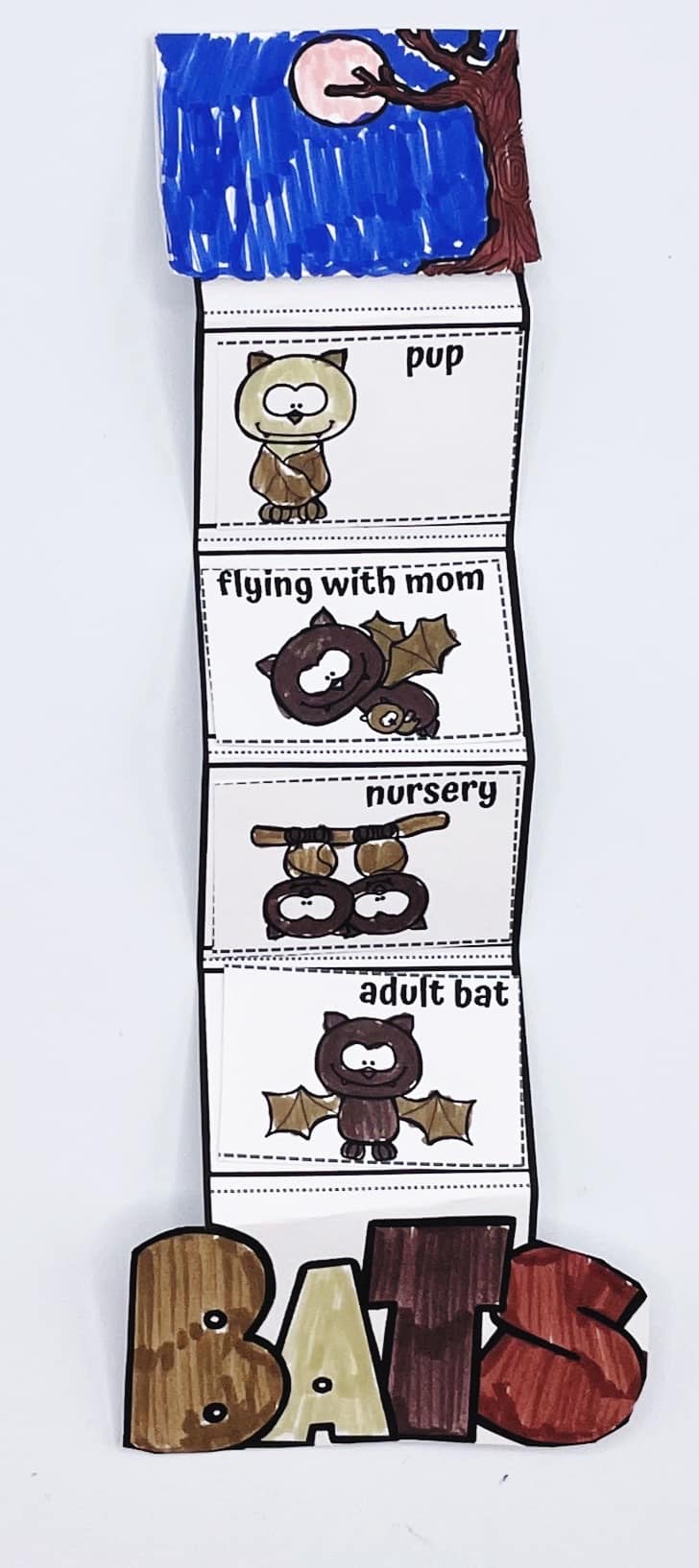 Completed foldable craft showing the bat life cycle in order: pup, flying with mom, nursery, and adult bat, with colorful drawings and bold “BATS” at the bottom.