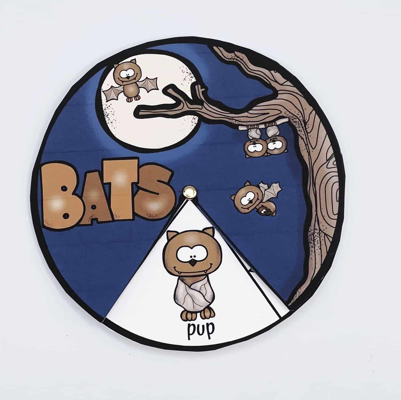 Completed bat life cycle spinner craft with a rotating top layer revealing each stage; the window currently shows the “pup” stage with a cartoon bat.
