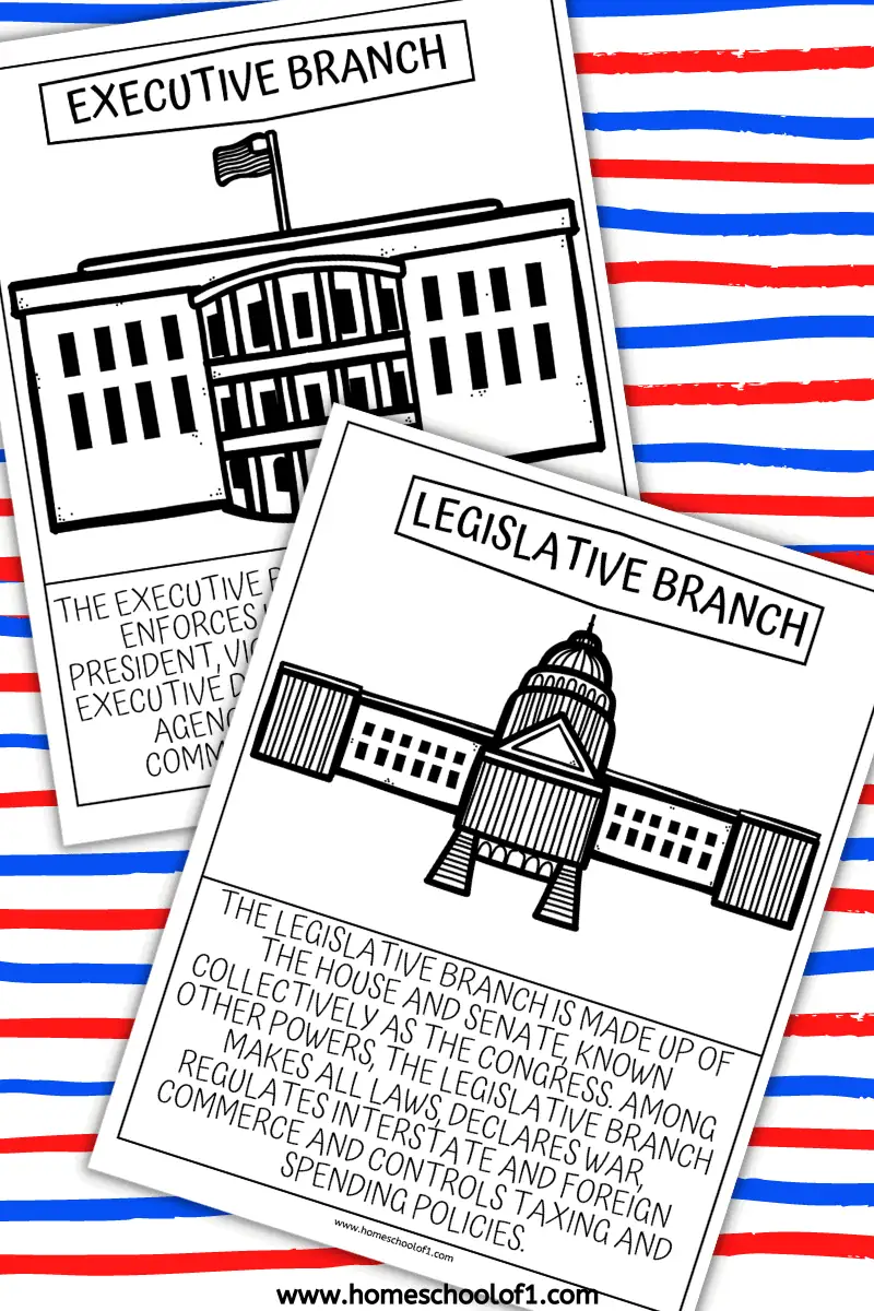 LEGISLATIVE AND EXECUTIVE BRANCH OF THE US CONSTITUTION