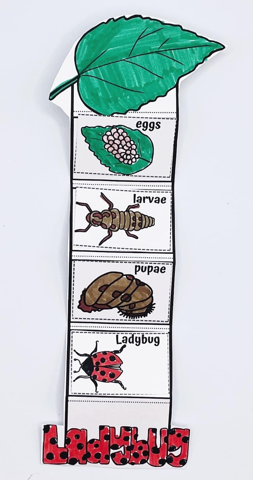 LADBYBUG CRAFT