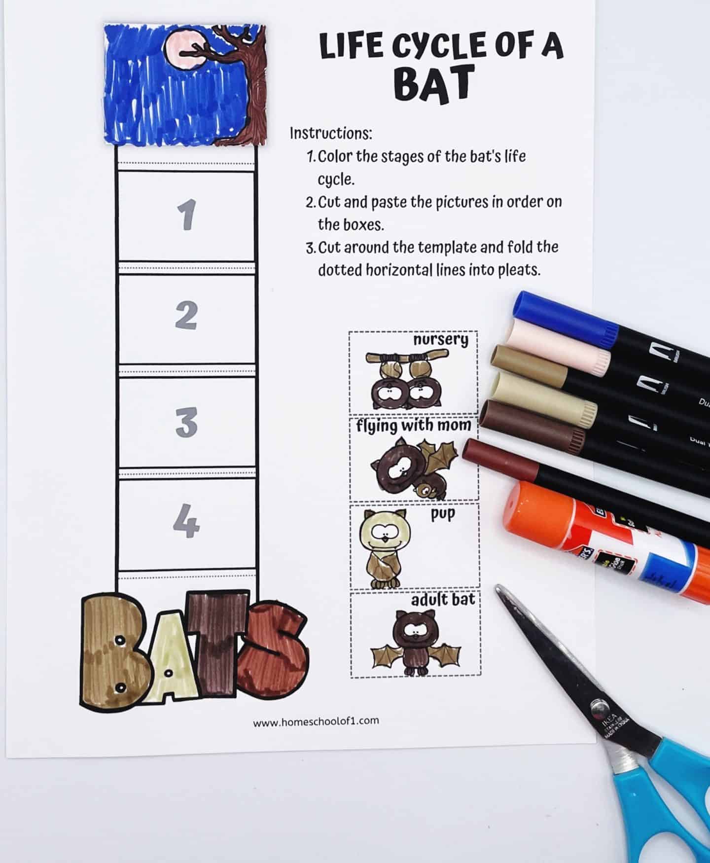 Cut-and-paste worksheet on the life cycle of a bat, where kids color, arrange, and glue labeled images like “pup” and “nursery” into numbered boxes.