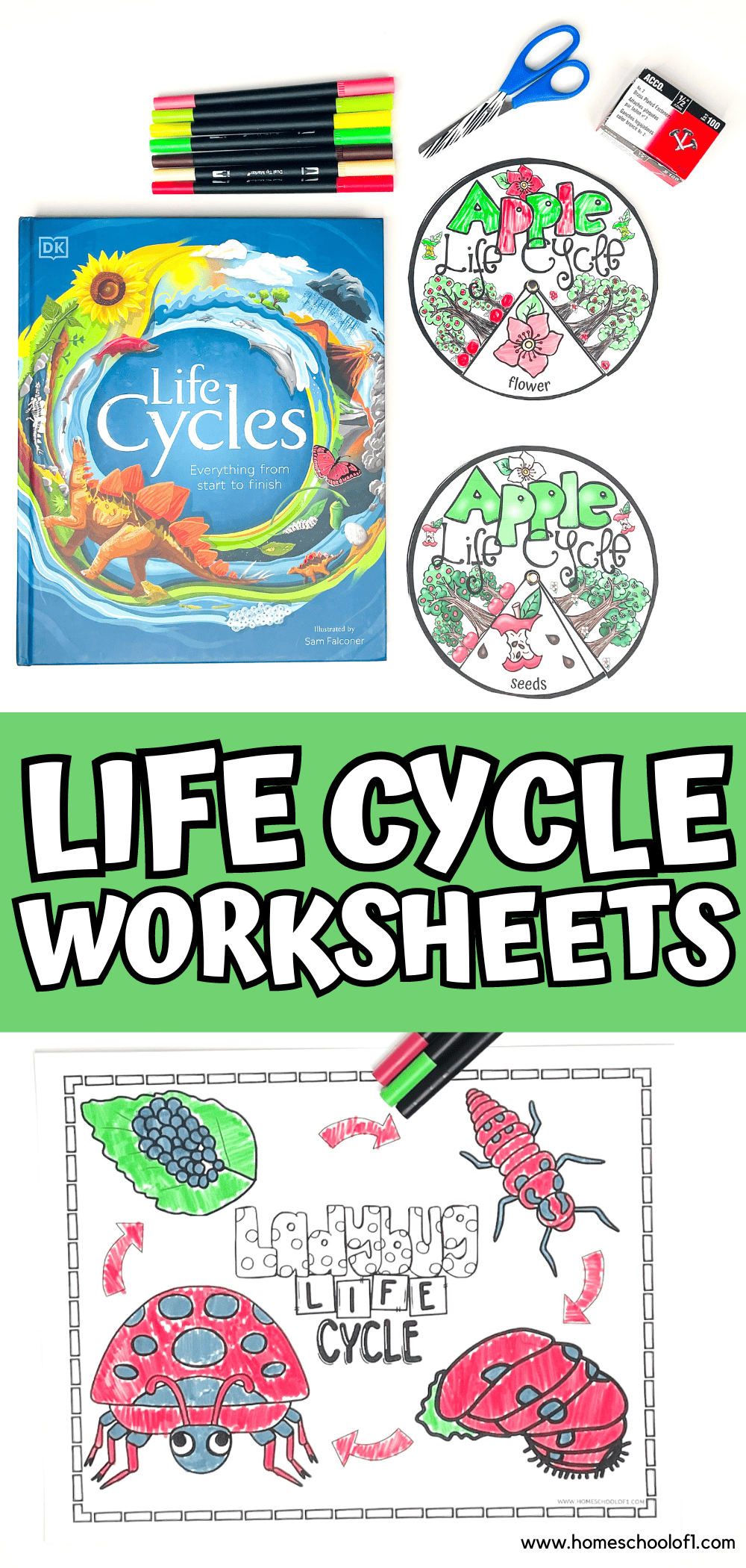 A vibrant educational setup featuring life cycle worksheets for kids, including a DK “Life Cycles” book, apple life cycle wheel crafts, and a detailed ladybug life cycle coloring page. Surrounded by markers, scissors, and a stapler, these printable biology worksheets help children explore plant and insect life cycles through hands-on science activities. A bold green banner reads “Life Cycle Worksheets,” making this ideal for homeschool science lessons and classroom use.

