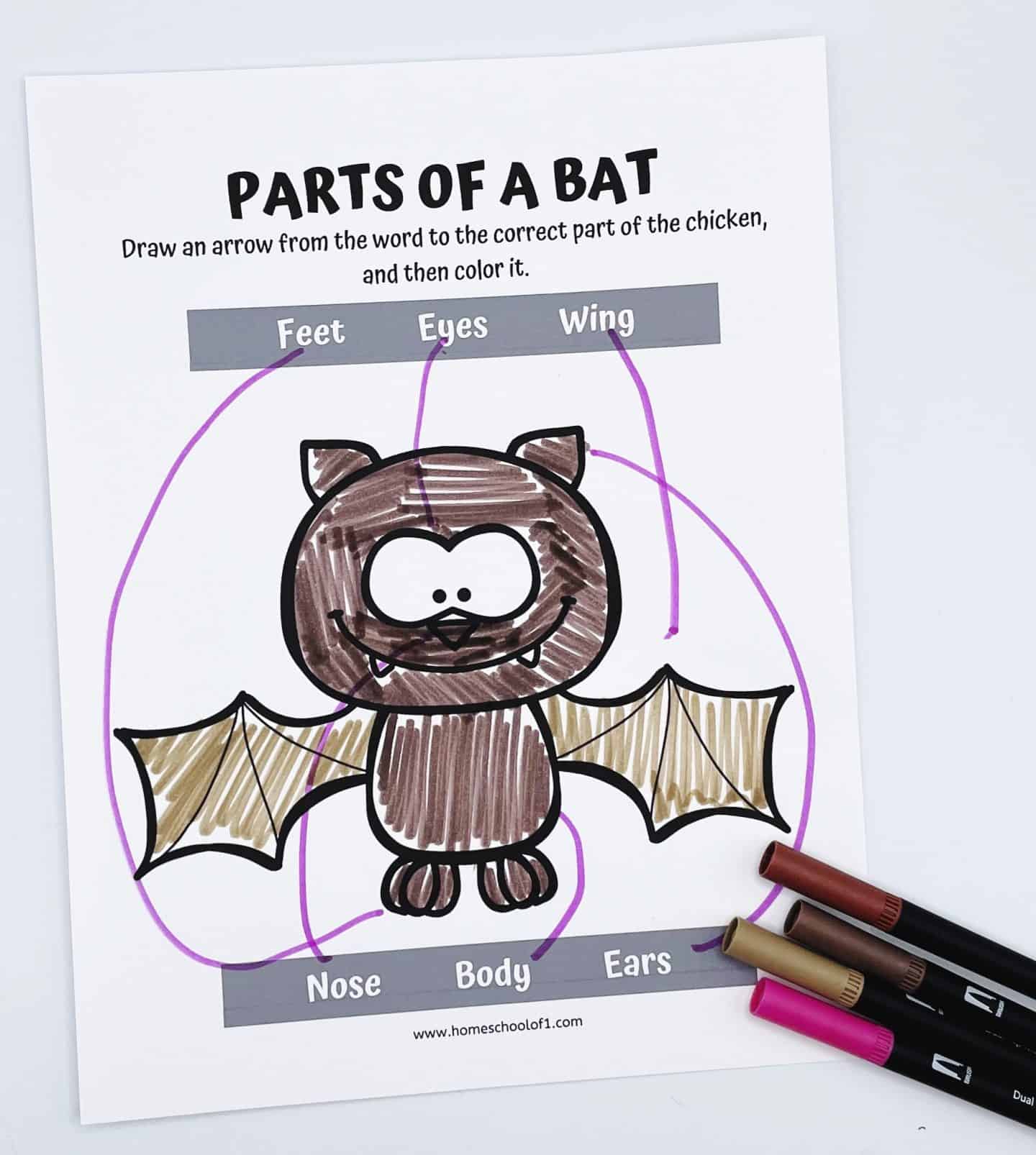 Coloring and labeling worksheet titled “Parts of a Bat,” where kids draw arrows from words like “Eyes” and “Wings” to the bat illustration and color it in.