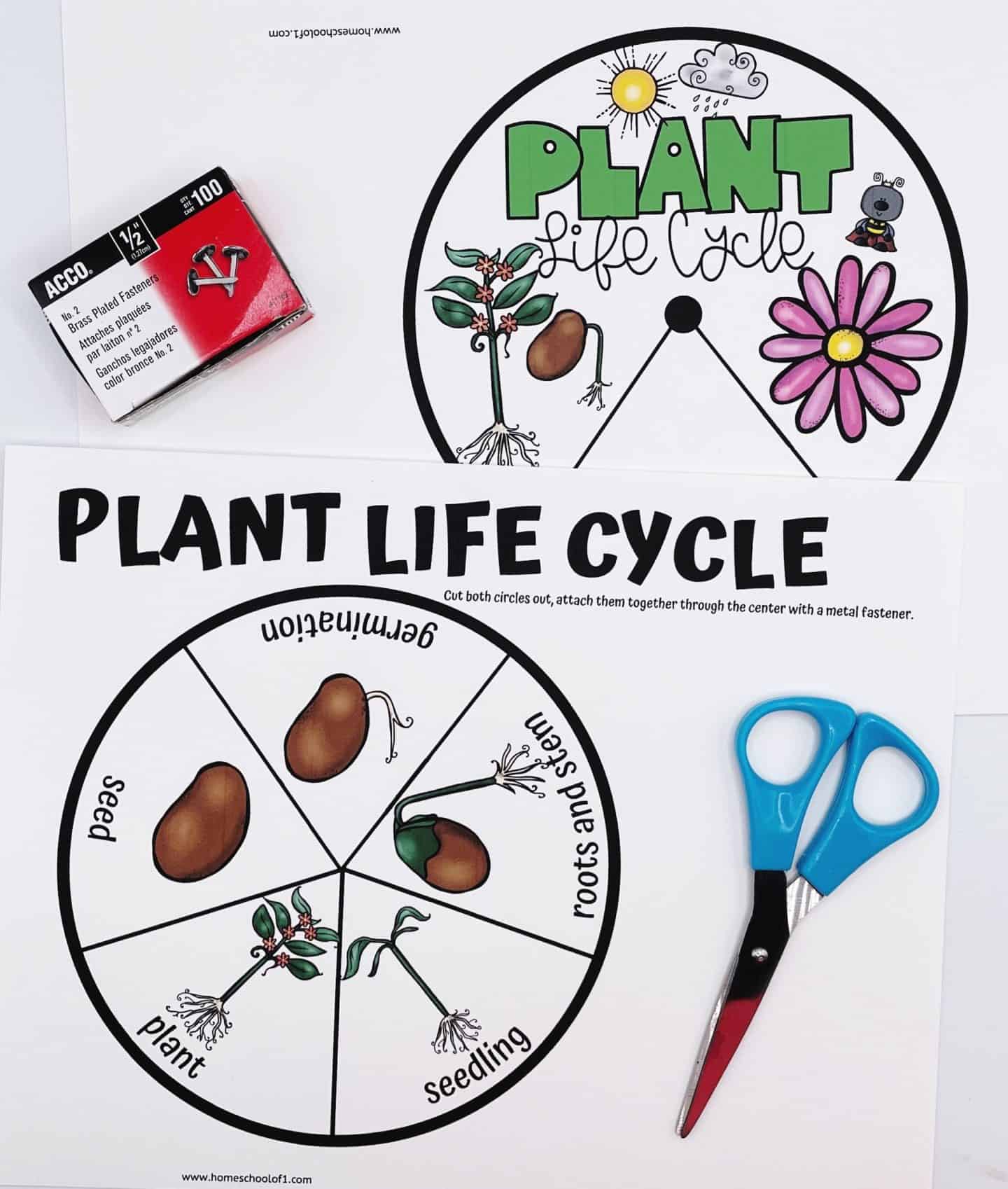 Two circular “Plant Life Cycle” worksheets designed for kids, featuring labeled segments for seed, germination, roots and stem, seedling, and plant. One wheel is fully assembled with a fastener and colorful illustrations including sun, rain, and flower; the other is ready to be cut and built. A box of metal fasteners and a pair of blue scissors are included, highlighting this as a fun, interactive science craft.

