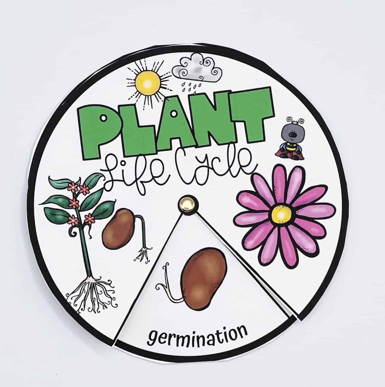 Circular “Plant Life Cycle” spinner for kids, with a movable window highlighting the germination stage. The wheel features colorful illustrations of a seed sprouting, mature plant, and blooming flower, with cheerful drawings of the sun, raincloud, and a smiling bug. The title “Plant Life Cycle” is boldly written in green and black across the top.

