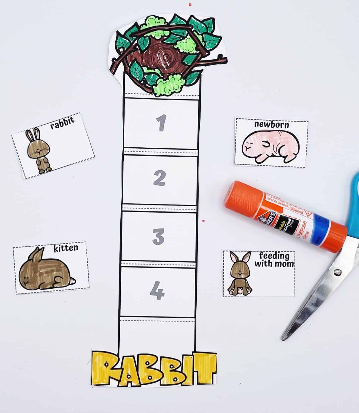 A cut-and-paste rabbit life cycle activity shows a vertical chart labeled 1 to 4 with a tree and leaves at the top and the word “RABBIT” colored in yellow at the bottom. Four cutout images—newborn, kitten, feeding with mom, and rabbit—are ready to be glued in the correct order. A glue stick and pair of scissors lie nearby on a white background, making it a hands-on educational craft for kids.

