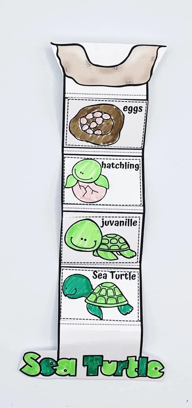 SEA TURTLE CRAFTS