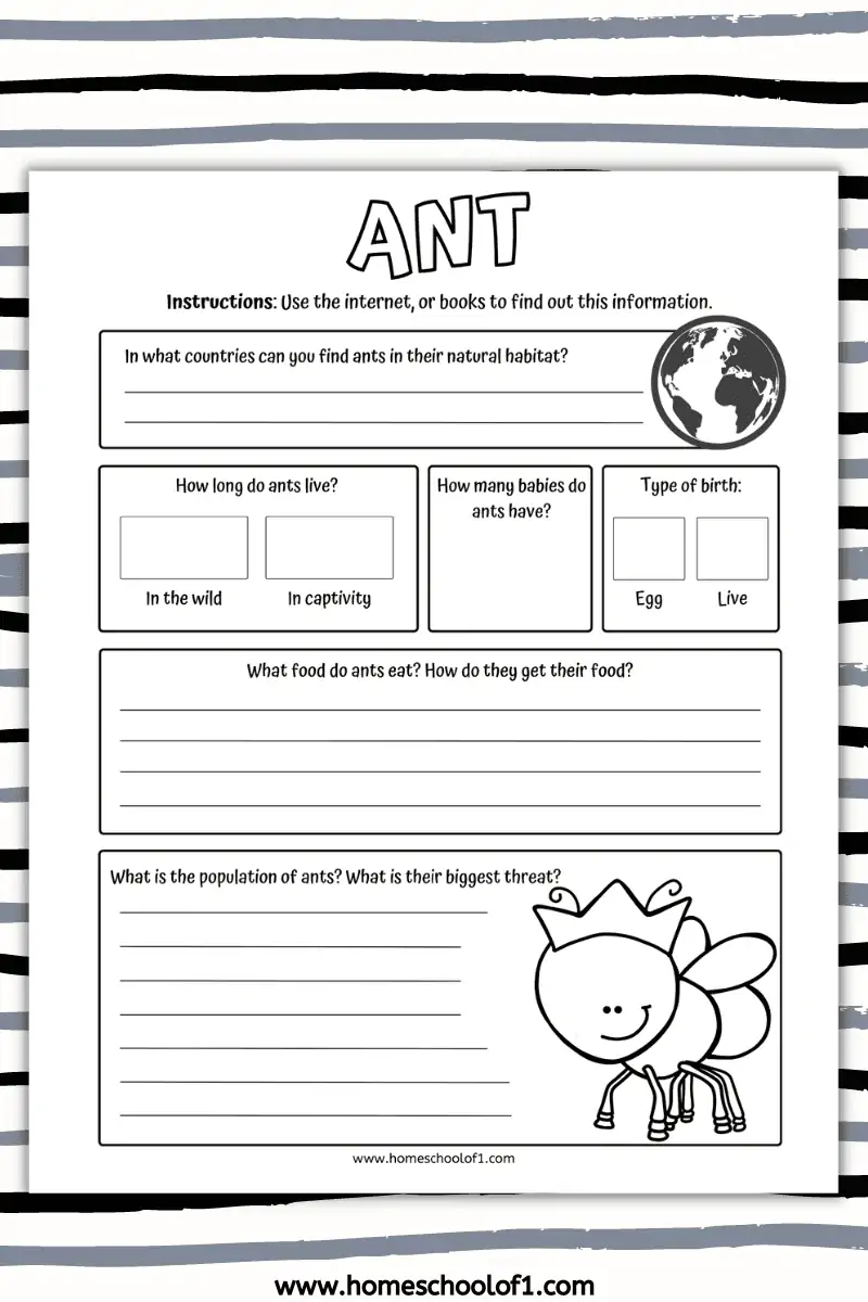 ant factsheet