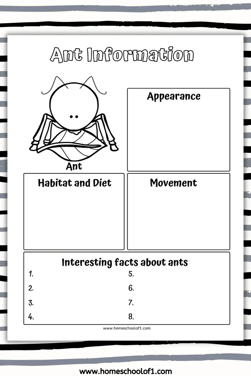 ant worksheets