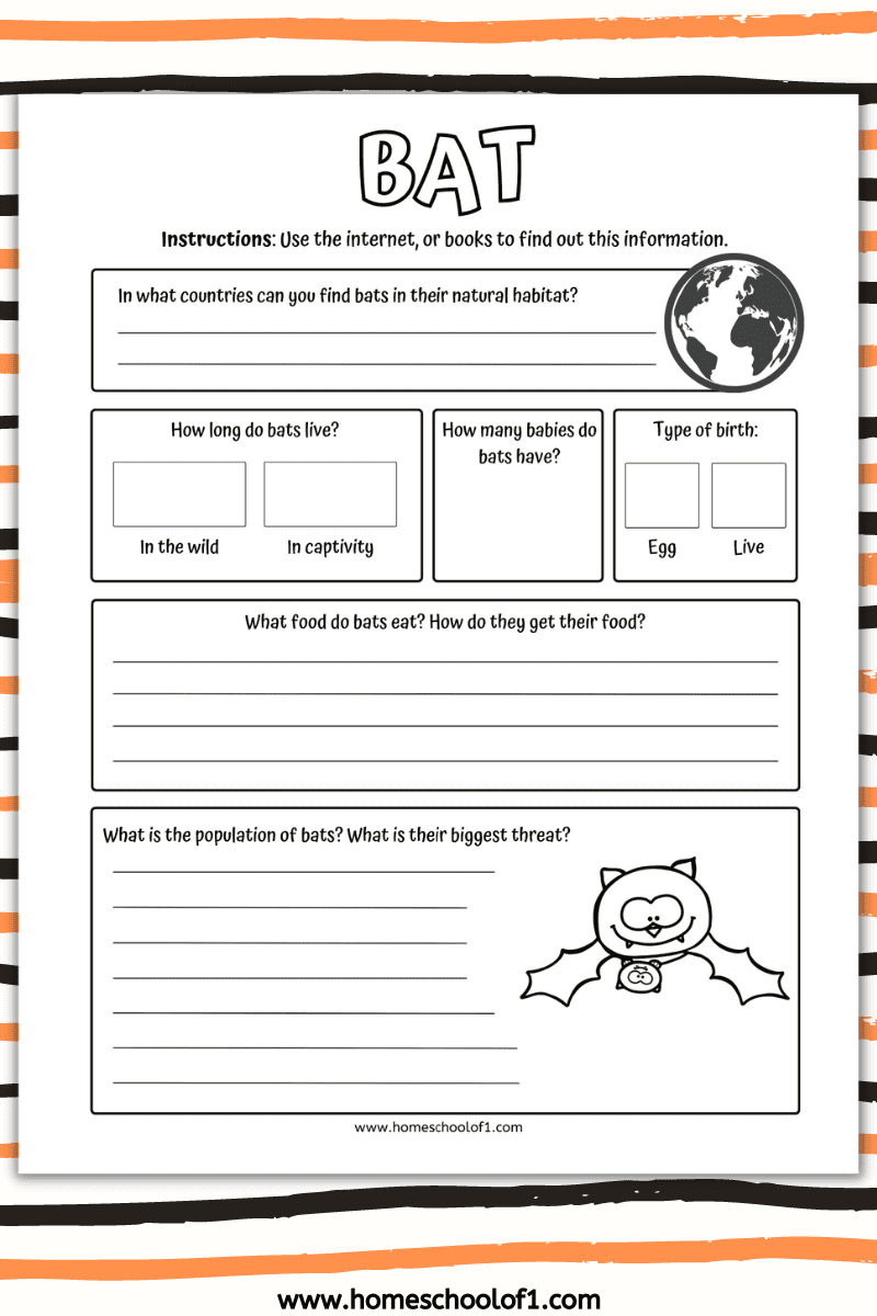 bat information sheet