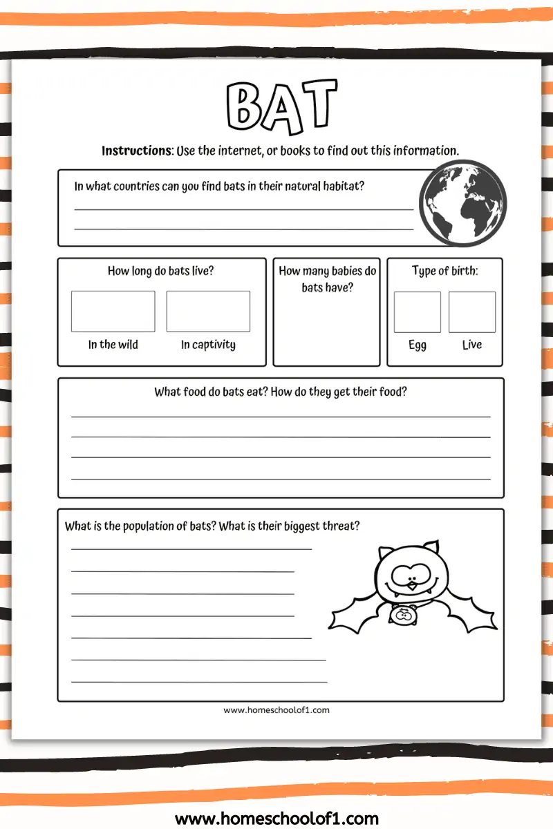 bat information sheet