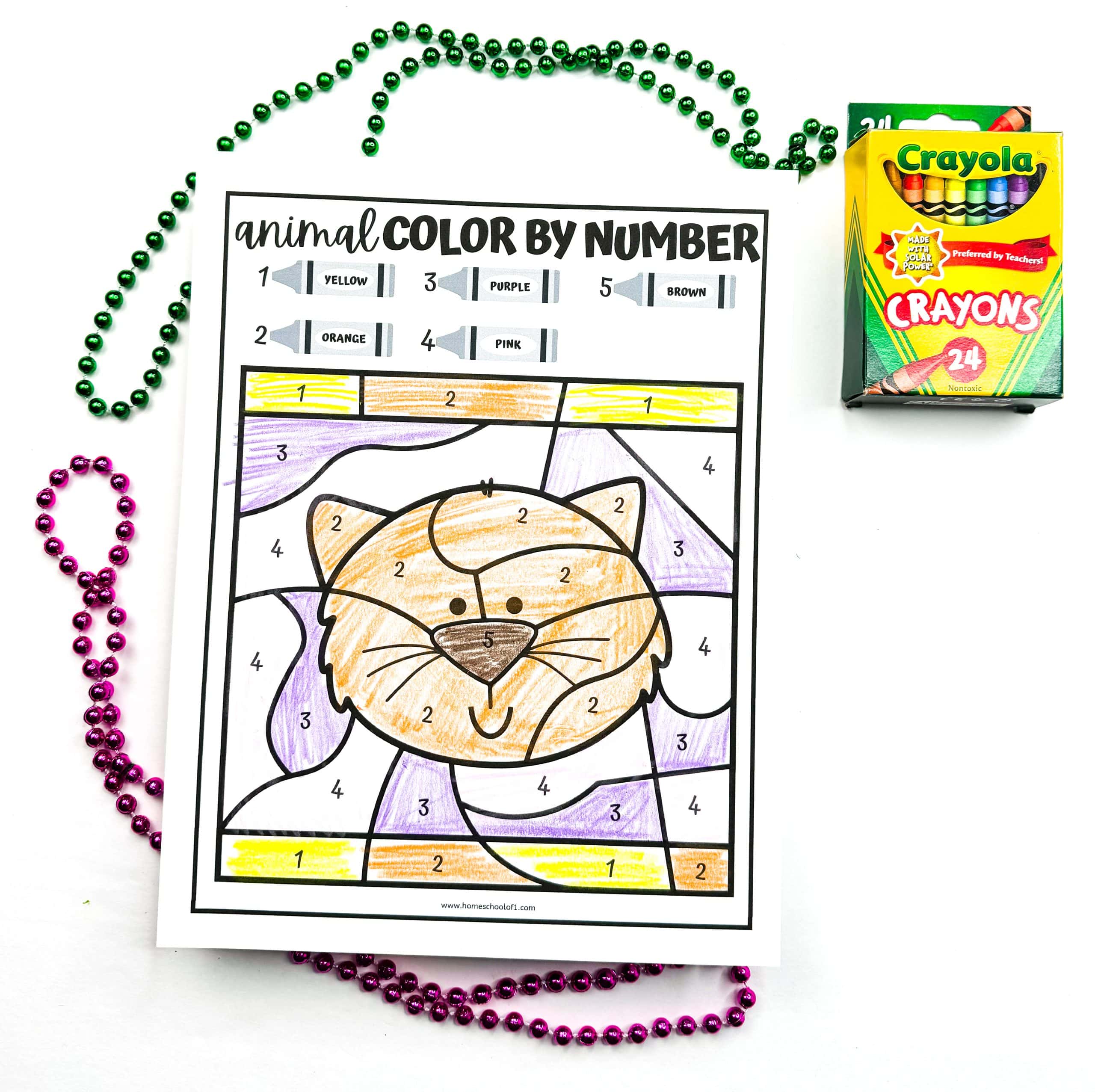 A completed animal color by number worksheet featuring a smiling cat colored with crayons in yellow, orange, purple, pink, and brown according to the number key at the top. The worksheet is surrounded by green and purple bead necklaces, and a box of 24 Crayola crayons is placed in the upper right corner.