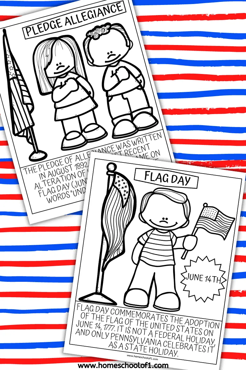 flag day activities