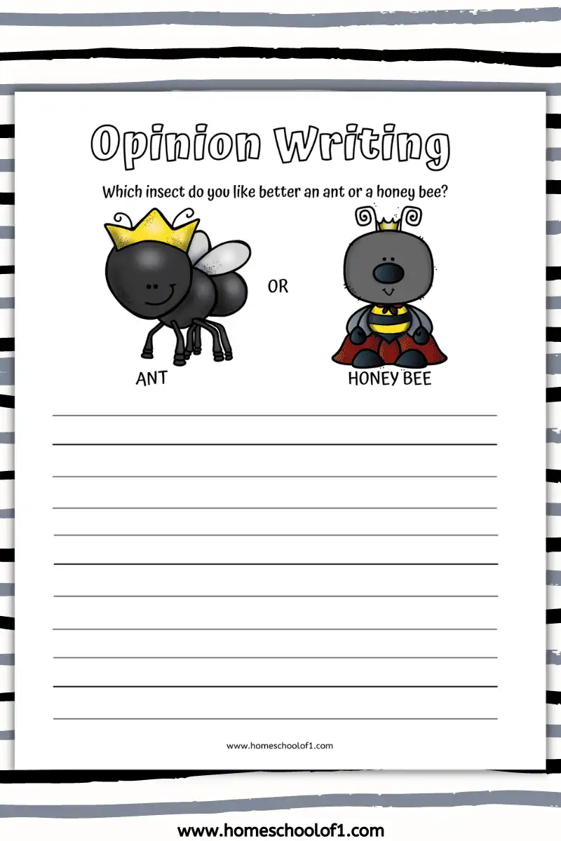 insect opinion writing