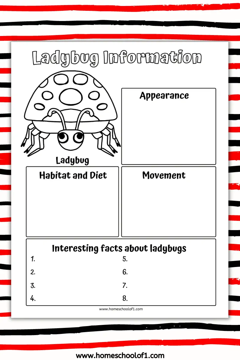 ladybird life cycle