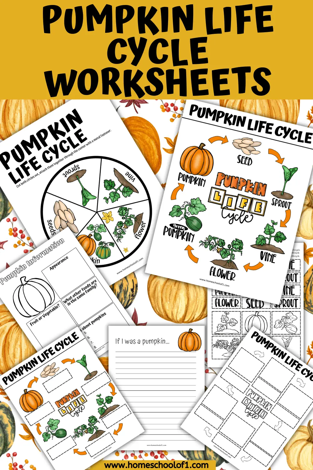 life cycle of a pumpkin worksheets