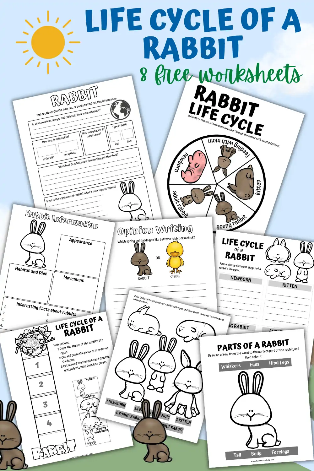 life cycle of a rabbit worksheet