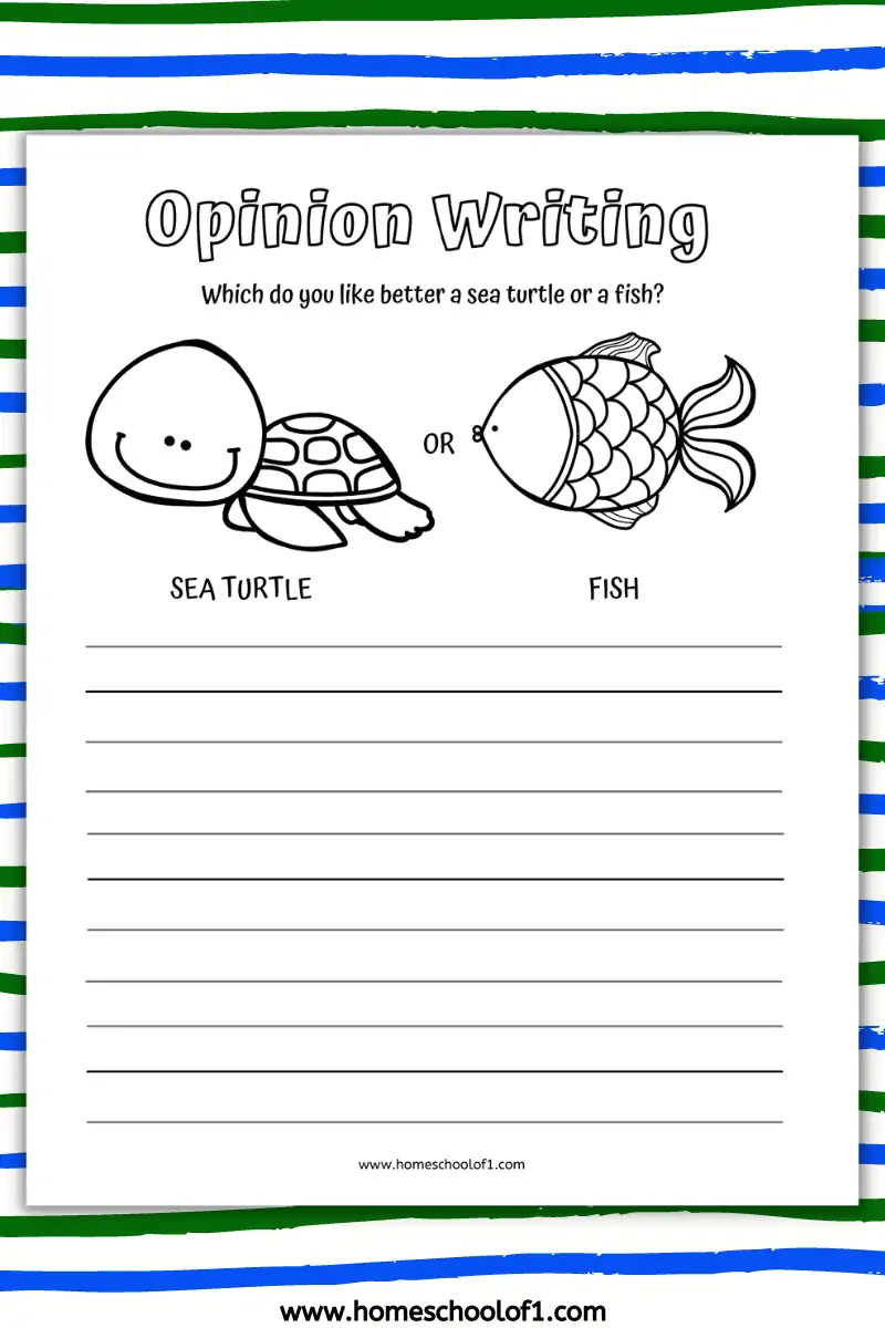 opinion writing on sea turtles