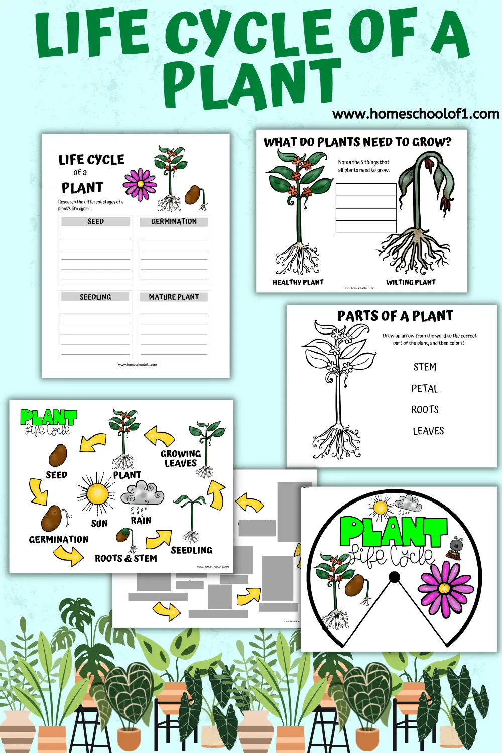 free-life-cycle-of-a-plant-worksheet-for-kids-homeschool-of-1