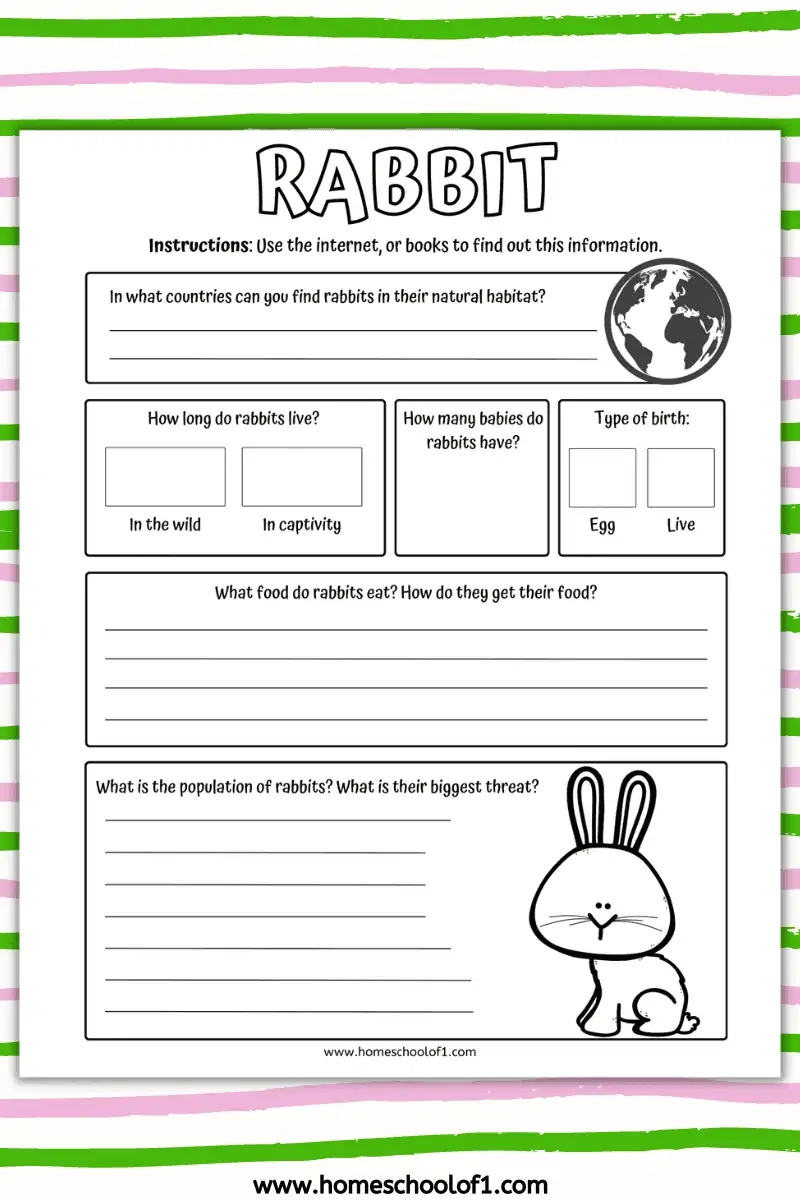 rabbit fact sheet
