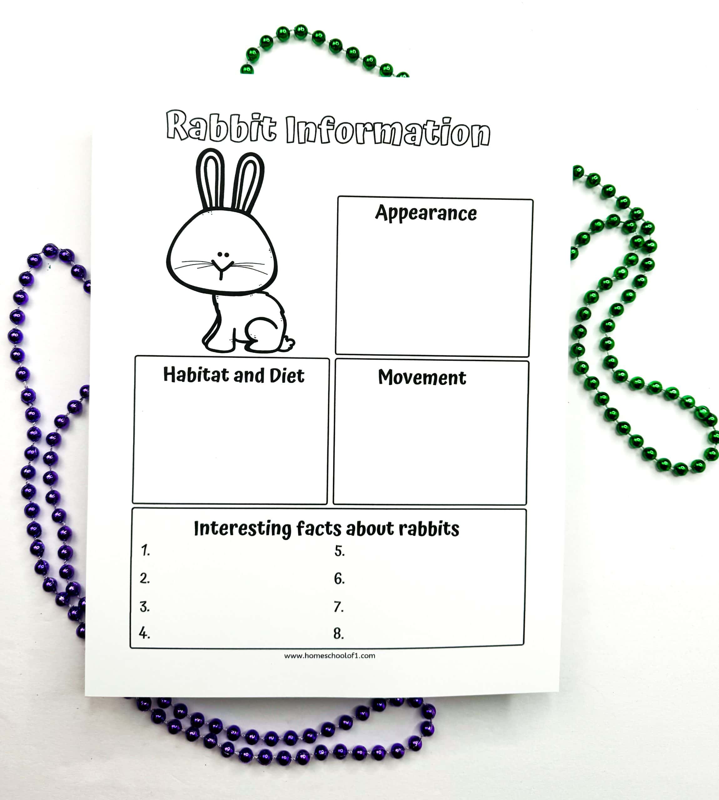 A black-and-white printable worksheet titled “Rabbit Information” is designed for kids to fill in facts about rabbits. The sheet includes labeled sections for “Appearance,” “Habitat and Diet,” “Movement,” and a list area for “Interesting facts about rabbits” with eight numbered lines. A cute cartoon bunny illustration sits at the top left, and the worksheet is framed with purple and green beaded necklaces on a white background.

