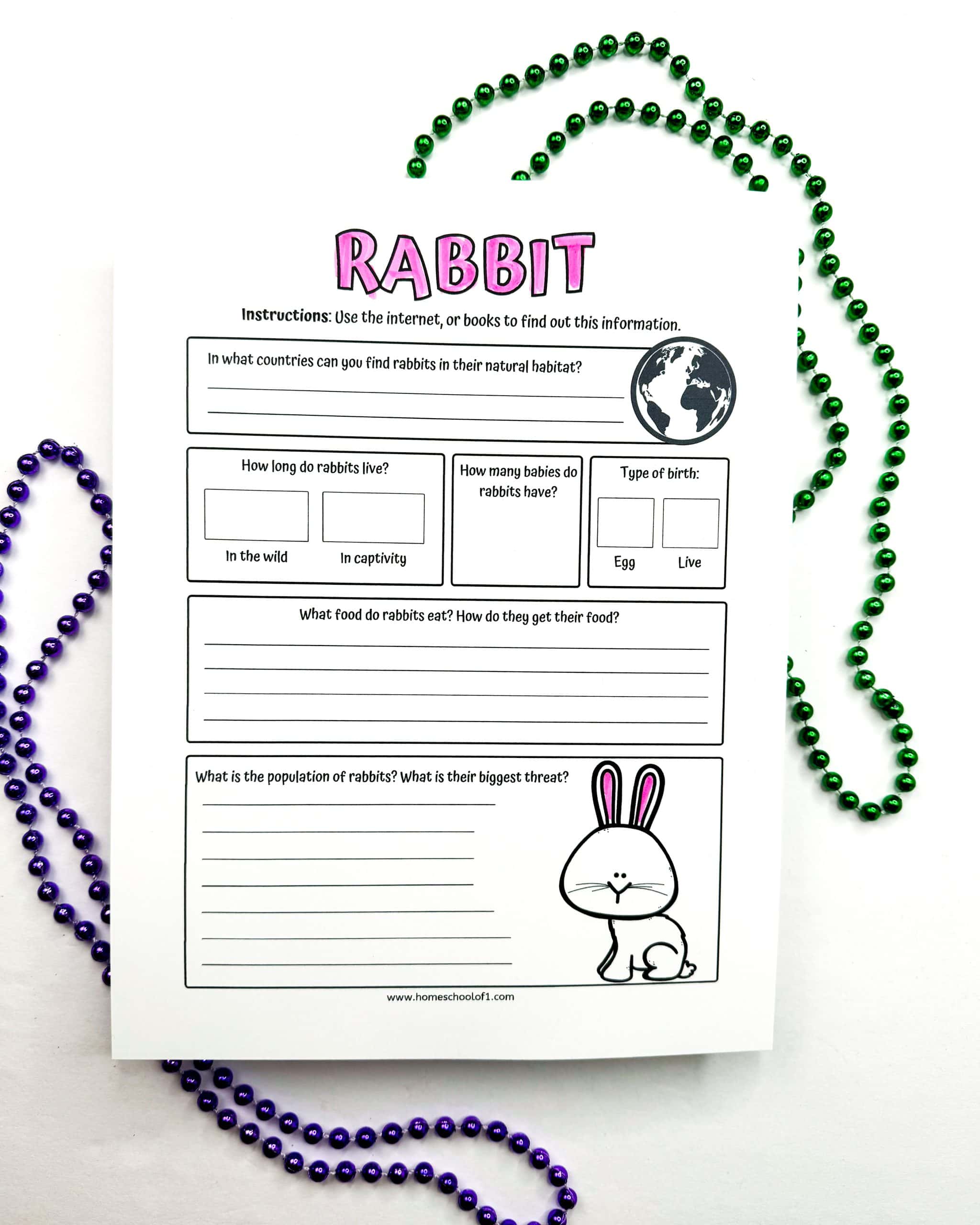 A rabbit-themed educational worksheet for kids titled “RABBIT” features fill-in-the-blank sections about rabbit habitats, lifespan, reproduction, diet, and threats. Students are prompted to research facts like how many babies rabbits have, what they eat, and whether they lay eggs or give live birth. A cute bunny illustration and globe graphic decorate the page, which is placed on a white surface with purple and green beaded necklaces around it.

